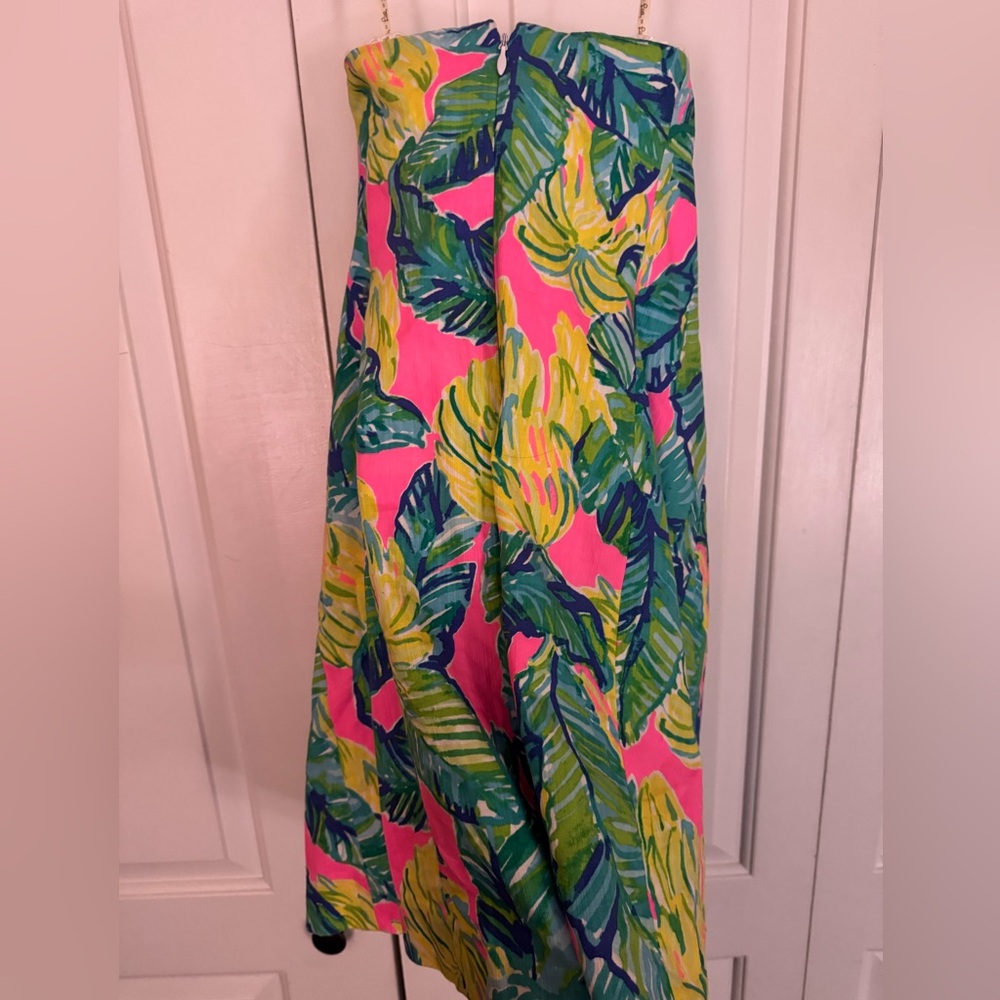 Lily Pulitzer Dress - Picture 4 of 4